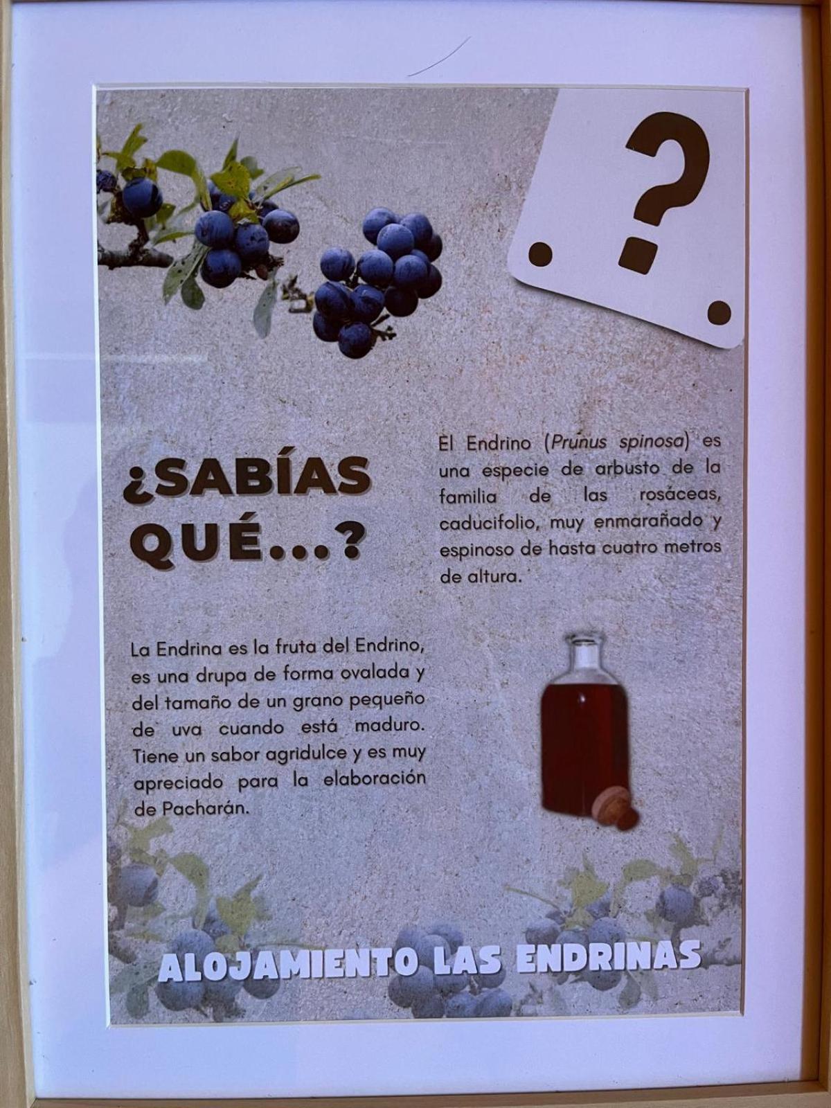 Alojamiento Las Endrinas Ezcaray Exterior foto